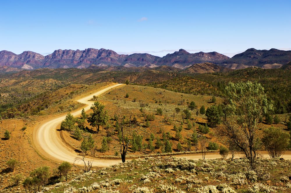 dirt road weaving through Flinders Ranges